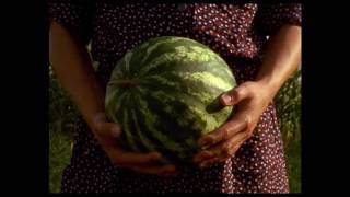 Lida Trailer Cphdox 2017