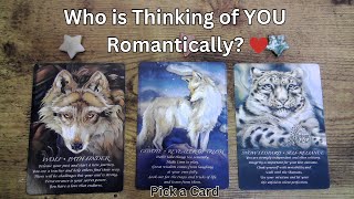 Who is Thinking of YOU Romantically?❤WEEKLY!❤Pick a Card #tarot #tarotreading #pickacard