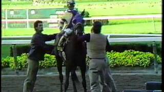 Slew o' Gold - 1983 Jockey Club Gold Cup (CBS) by Vintage North American Horse Racing 19,539 views 13 years ago 8 minutes, 24 seconds