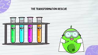 F24 Mcdb 203L Genetics Lab - Breanna Brownsen & Nabihah Ahsan