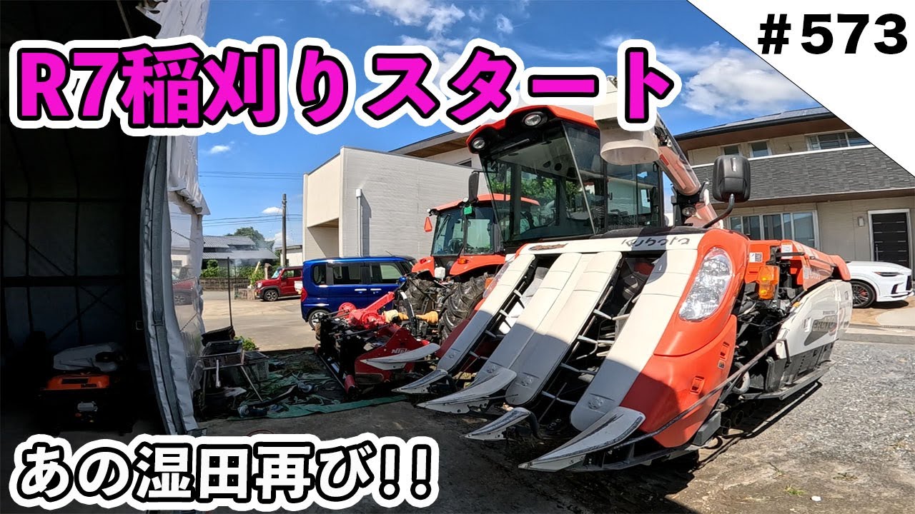 【R7年10月2日刈取り】無農薬稲わら 【有機栽培約14kg】岩手県一関市発 Amazon.co.jp: 無農薬 有機栽培 天日干し 稲ワラ 無選別カット 宅配便