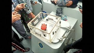 失事兩個多月後 印尼獅航找到第2黑盒子 20190114 公視晚間新聞