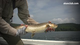 【阿寒湖ボートフィッシング深場のアメマス】フライフィッシング阿寒湖アメマス 4K空撮 fryfishing lake akan hokkaido japan 阿寒倶楽部の4K動画