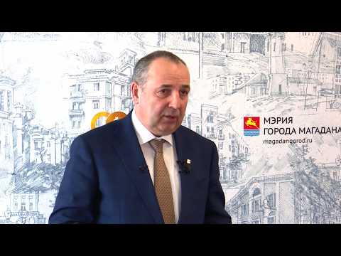 Реально ли решить вопрос безнадзорных собак без денег?
