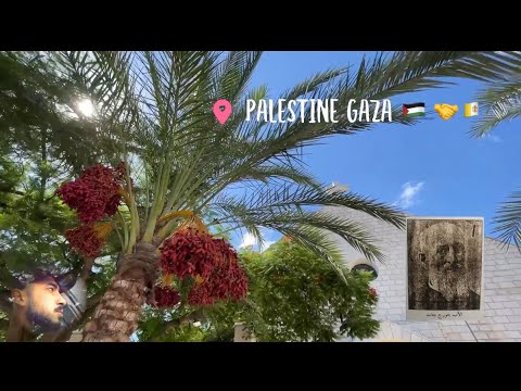 كنيسة العائلة المقدسة    كنائس غزة