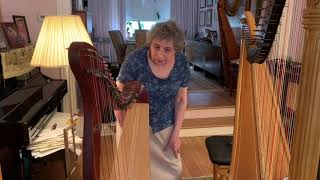 Little Orchestra Society | Music in the Grove presents Meet the Orchestra: Harp Demonstration
