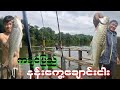 ငါးမျှားကြမယ် ဗုံးချိတ်နဲ့😊fishing day