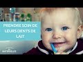 Prendre soin de leurs dents de lait  la maison des maternelles lmdm