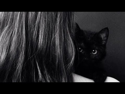 معلومات عن قرين الانثى العاشق منحرفه 