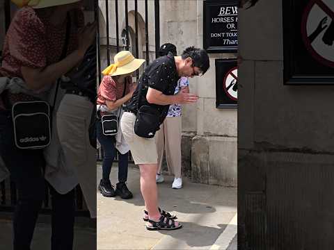 Two tourists showing respect to the King's Guard Today #shorts