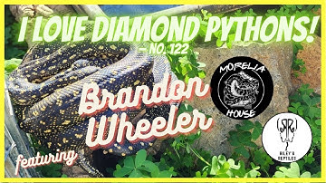 I Love Diamond Pythons! - no. 122