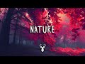 Nature  chill mix