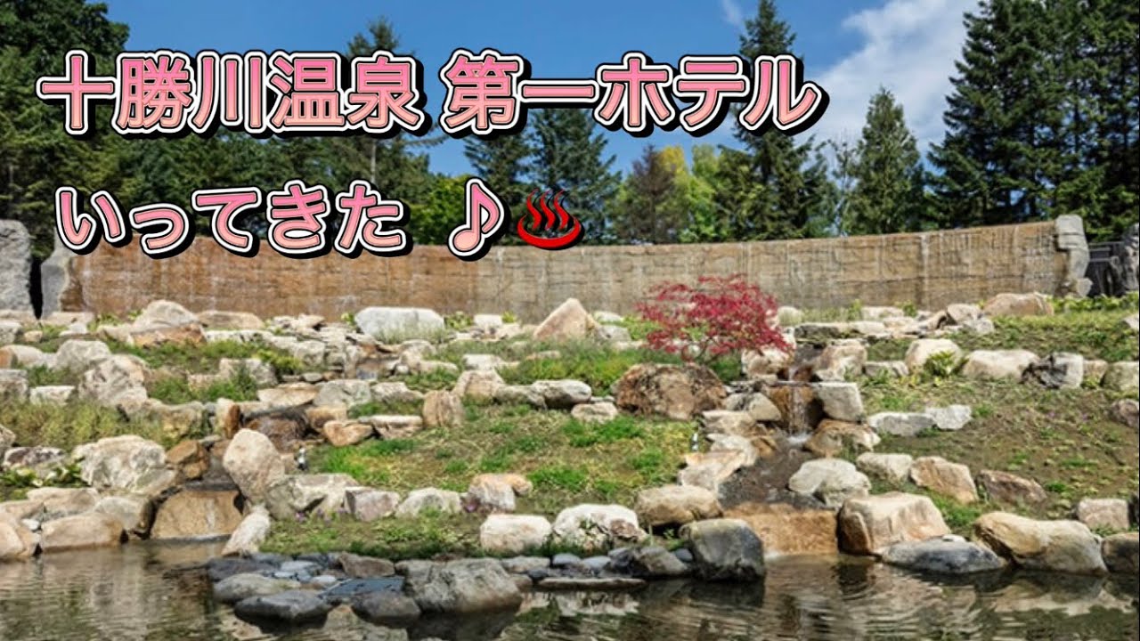 十勝川温泉 第一ホテル 豊洲亭 豆陽亭♨️レビュー♪