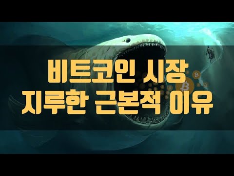   비트코인 투자 지루한 이유 앞으로의 방향은 Bitcoin Boring Reason 老高與小茉 堀江貴文ホリエモン TechLead MeetKevin DhruvRathee XRP