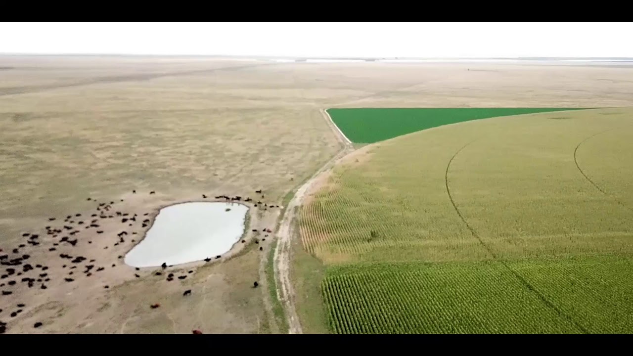 Southeast Colorado Farm and Ranch For Sale YouTube