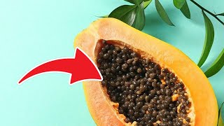 JANGAN DIBUANG !! Ternyata Biji Pepaya Ini Punya Banyak Manfaat Untuk Kesehatan