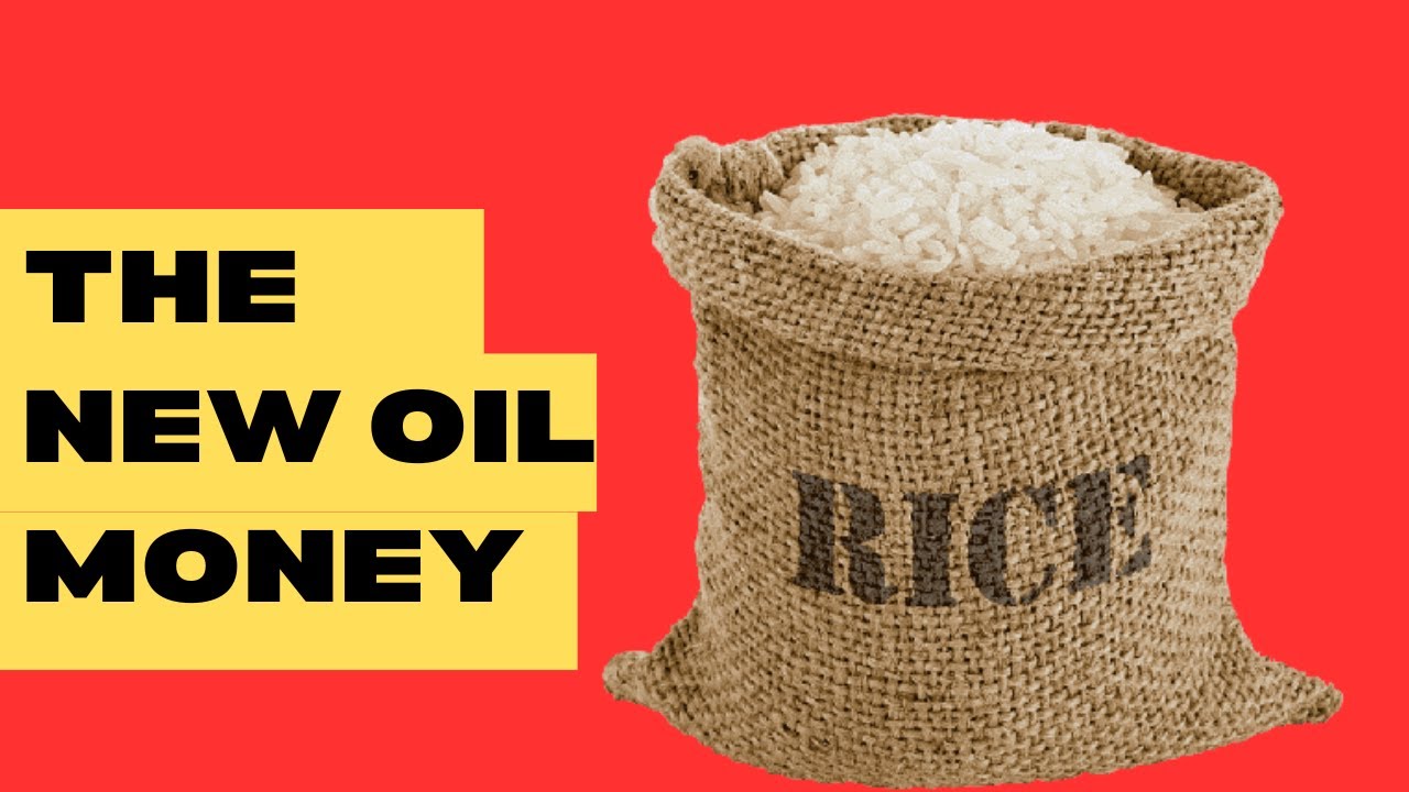 Are Rice Farmers Really Making Money In Nigeria?