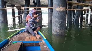 Download Lagu BINASA JORANKU BERKALI-KALI DI HAJAR IKAN BABON DI TEMPAT INI MP3 Download Lagu BINASA JORANKU BERKALI-KALI DI HAJAR IKAN BABON DI TEMPAT INI MP3