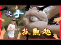 🐠🐠🐠徒手抓魚 🐠🐠台北 🇹🇼Catch Fish with Bare Hands🤲