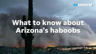 Why are Arizona dust storms called haboobs? Here's what to know
