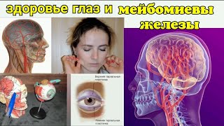 Мозг и глаза. Укрепляем ТАРЗАЛЬНЫЕ ПЛАСТИНКИ ВЕК, освобождаем лицевой и тройничный нервы