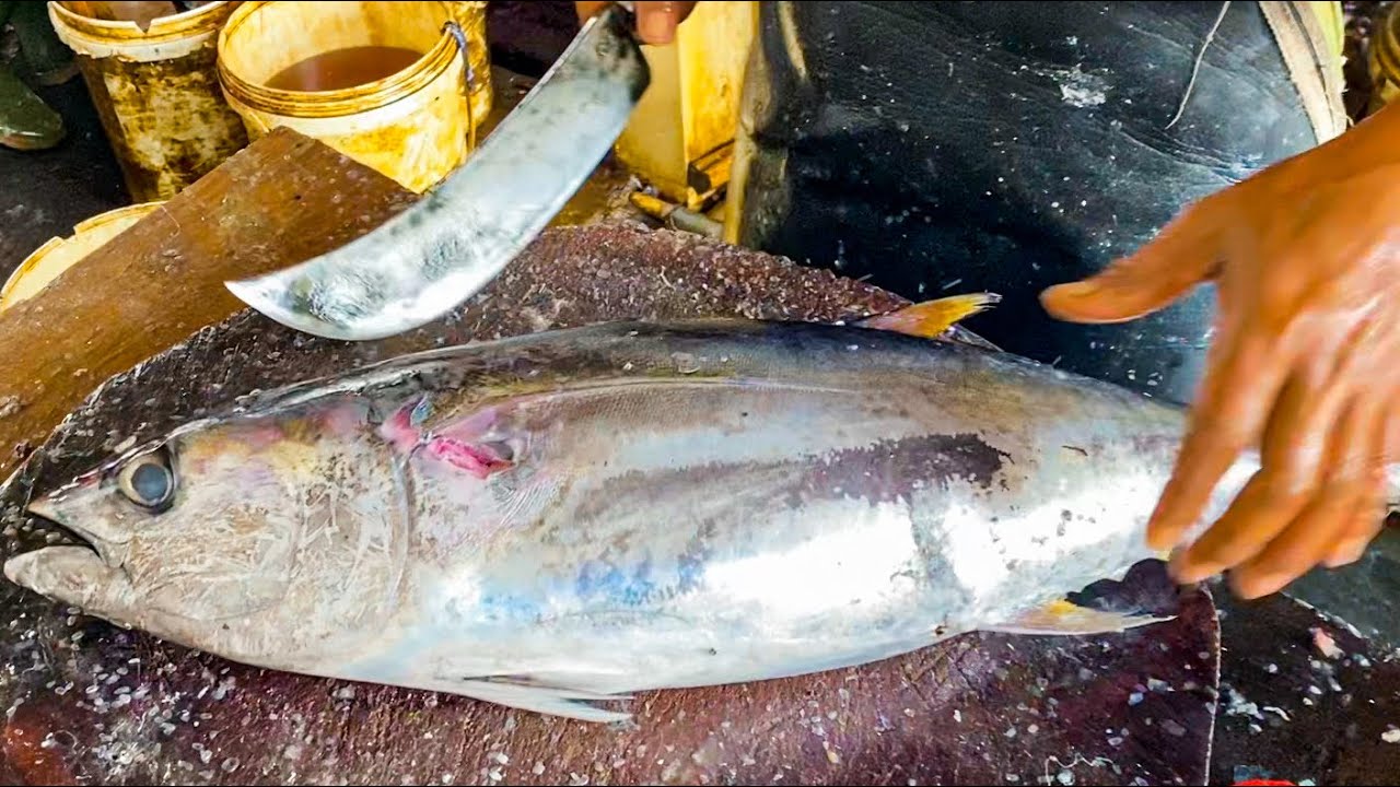 Fish Cutta TUNA FISH CUTTING SKILLS BY EXPERT FISH CUTTER || FAST FISH CUTTING ...
