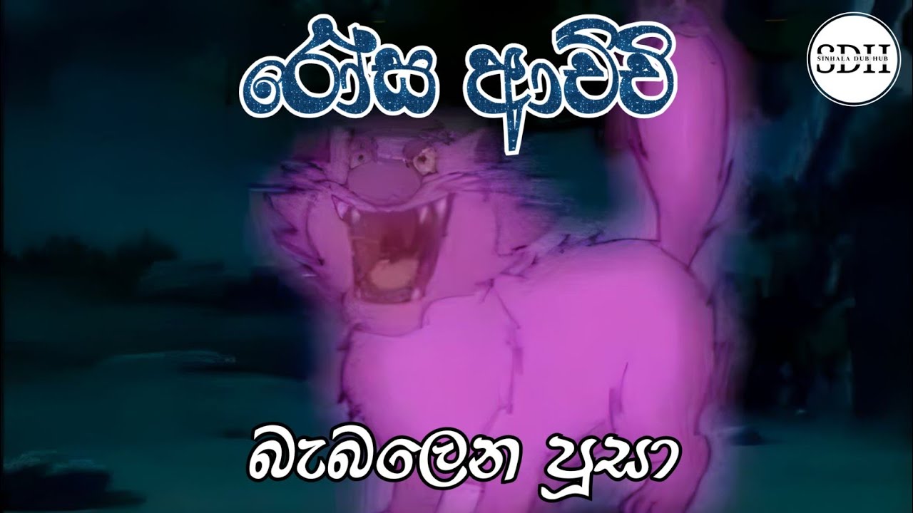 රෝස ආච්චි බැබලෙන පූසා Rosa Achchi Sinhala Cartoon Youtube