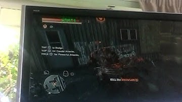 Prototype 2op fly trap