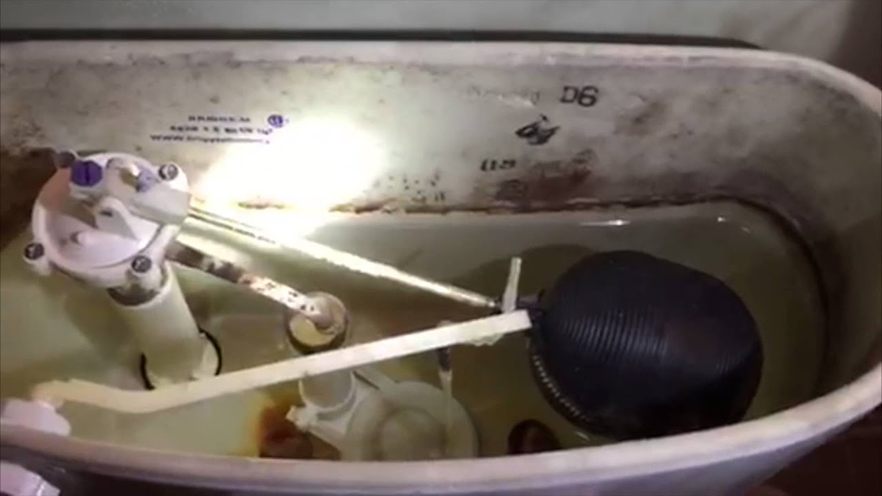 Toilets Not Flushing Charlotte NC YouTube