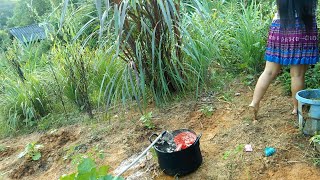 Mus Saib Lauj Xoob Los Da Dej Daim4