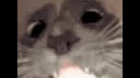 (New Hardest Challenge) Wavetapper by Me Verification | Geometry Dash