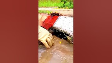 unclogging drain #drain #draincleaning #unclog #trending  #shorts #short #shortsyoutube #relaxing