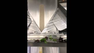 IMG 1078