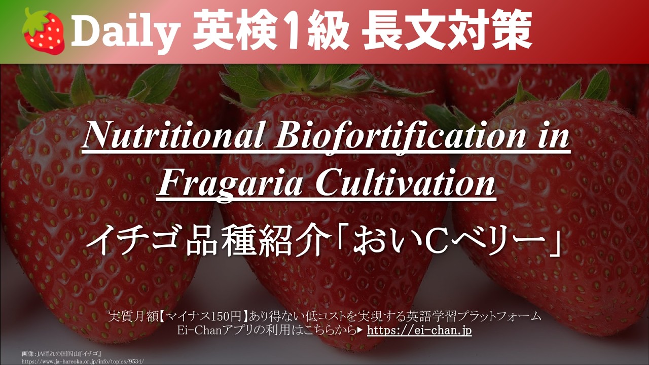 Daily 英検1級】気楽に聞き流す英検1級対策長文 - 『イチゴ品種紹介
