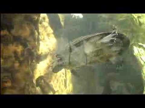 Fat kid yelling at Turtle