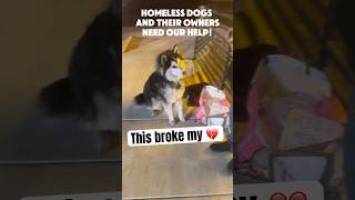 This broke my 💔 Homeless dogs and their owners need our help! #homelessdog #husky #sad #shorts