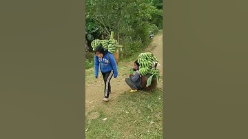 Hai mẹ con dân tộc RagLai vác gùi chuối ở Khánh Sơn🌿🌺Cảm ơn bạn đã xem&nhớ đăng kí ủng hộ kênh mình!