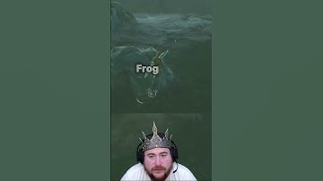 A what now? #zelda #botw #gaming #videogames #trending #twitch #youtube #shorts #funny