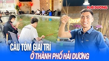 Câu tôm giải trí ở TP Hải Dương