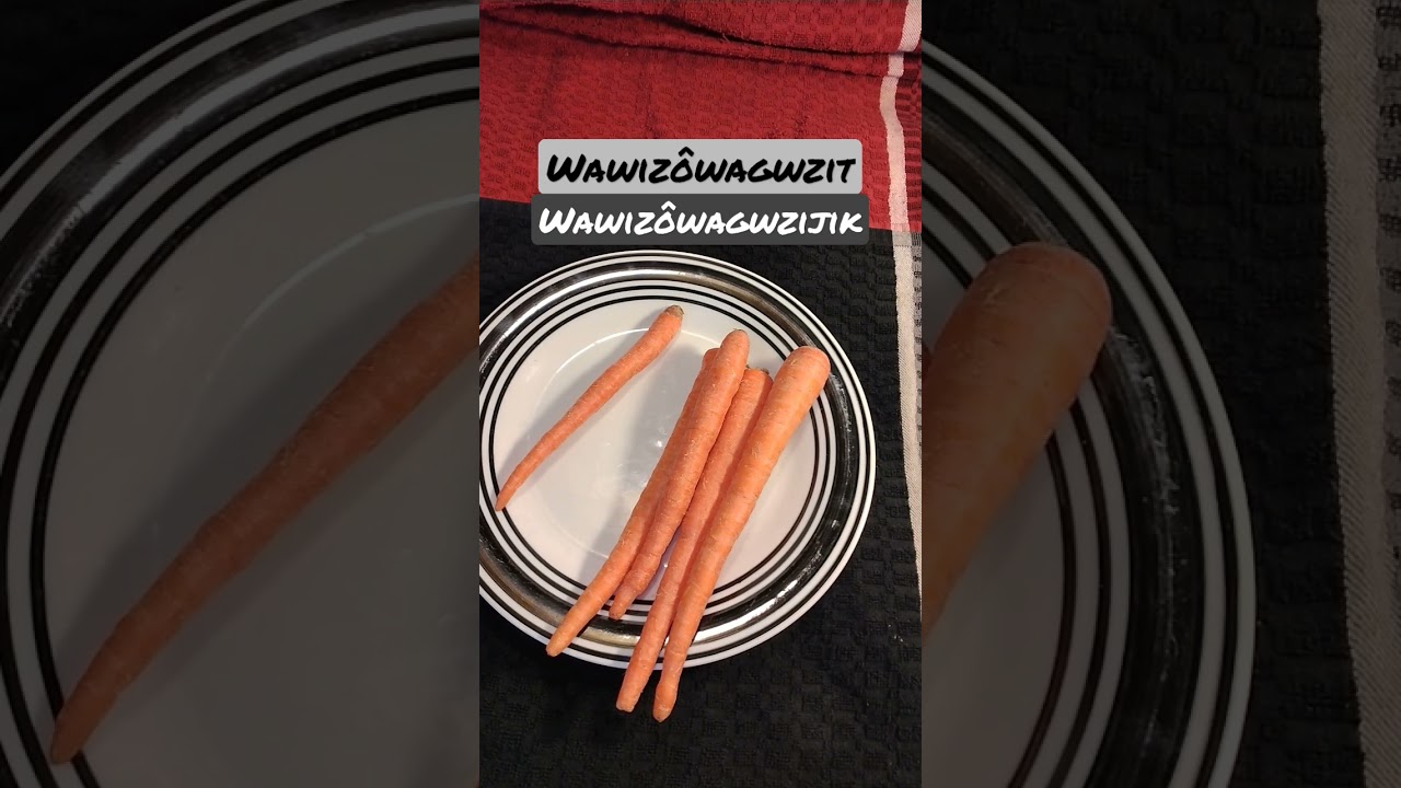 How to say Carrot speaking Abenaki Language 