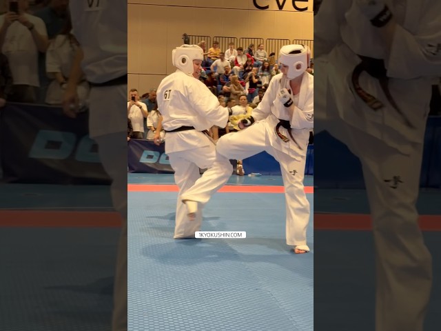 IKO Great Britain London Open 2026 #kyokushin #shinkyokushin #karate #1kyokushin #一極真 #極真会館