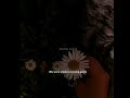  Feel the song
