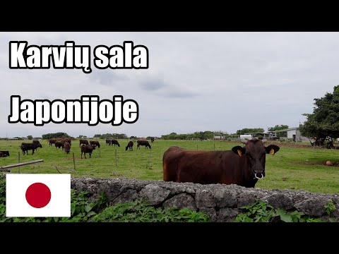 Video: Okinavos Dieta: Kaip Prailginti Jaunystę