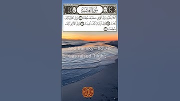﴿ أَفَلَا يَنظُرُونَ إِلَى الْإِبِلِ كَيْفَ خُلِقَتْ﴾[ سورة الغاشية: 17] #القرآن_الكريم #تلاوة_خاشعة