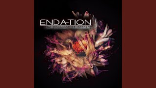 Instill Embrace
