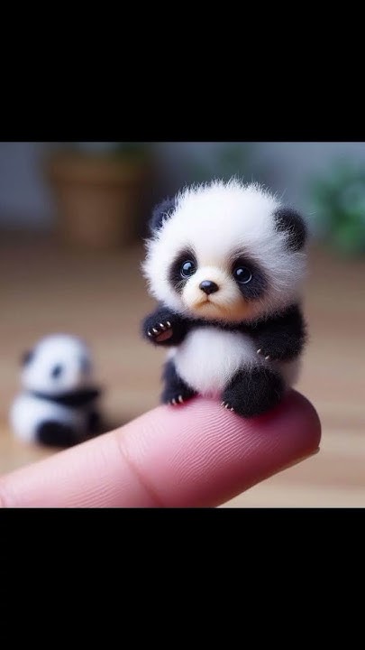 Милые мини животными #животные #милота #cute #puppy #pomeranian - YouTube