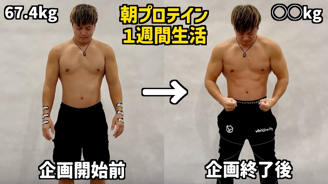 プロテイン ダイエット 1 週間 効果