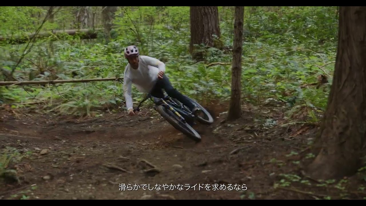 STUMPJUMPER 15 EVO COMP ALLOY CLGRY/SMK S3(S3 サテンクールグレー