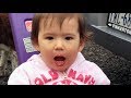 Kids Say Funny Things 3