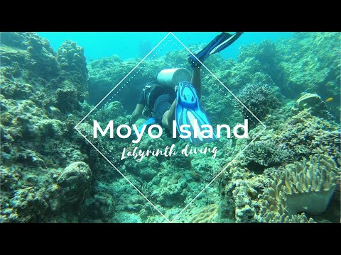 LABYRINTH Scuba Diving Raja Sua - Moyo Island, Sumbawa - Indonesia